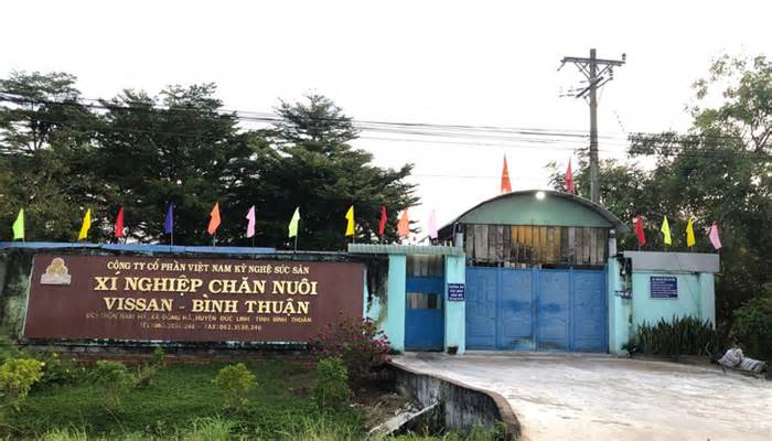Bao giờ dời trại heo Vissan Bình Thuận ra xa khu dân cư, cụm công nghiệp?