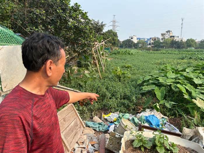 Dự án kè hồ An Trạch 'đắp chiếu' hơn 20 năm, người dân kêu trời vì ô nhiễm