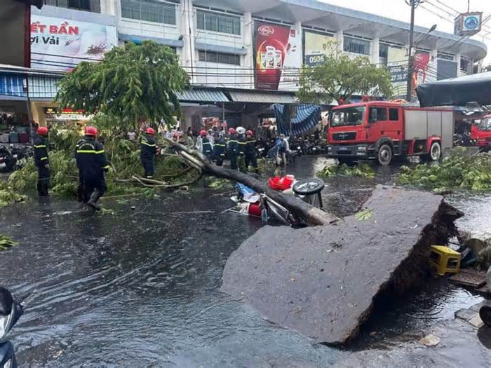 Cây bật gốc đè trúng người trên đường phố Đà Nẵng