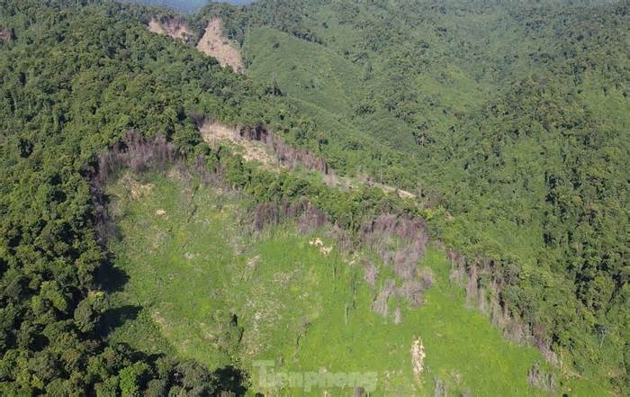 Công an vào cuộc làm rõ trách nhiệm vụ phá 2,7 ha rừng phòng hộ