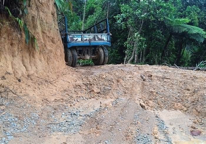 Phá rừng để làm đường dây điện 110kV: Quảng Nam chỉ đạo 'nóng'