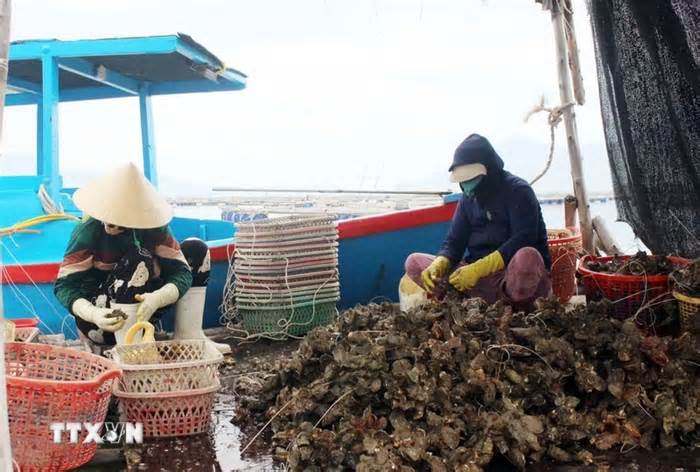 Ninh Thuận tận dụng thế mạnh thúc đẩy phát triển kinh tế biển