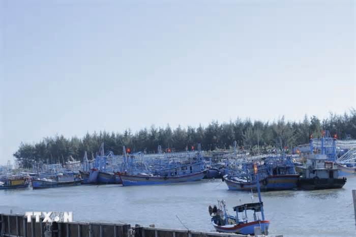Khắc phục 'thẻ vàng' IUU ở Bà Rịa-Vũng Tàu: Giám sát chặt tàu cá “3 không”