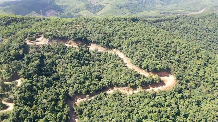 Tập đoàn Đèo Cả san ủi rừng tự nhiên để mở đường?