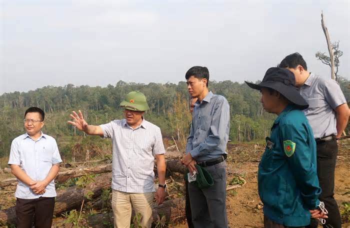 Đắk Nông chỉ đạo xử nghiêm tình trạng người dân lấn chiếm đất rừng