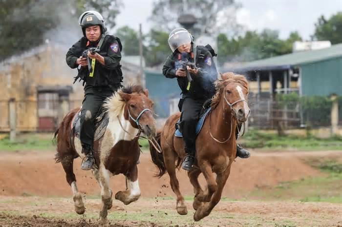 Cảnh sát cơ động Kỵ binh Việt Nam sẽ biểu diễn tại TP. Vinh