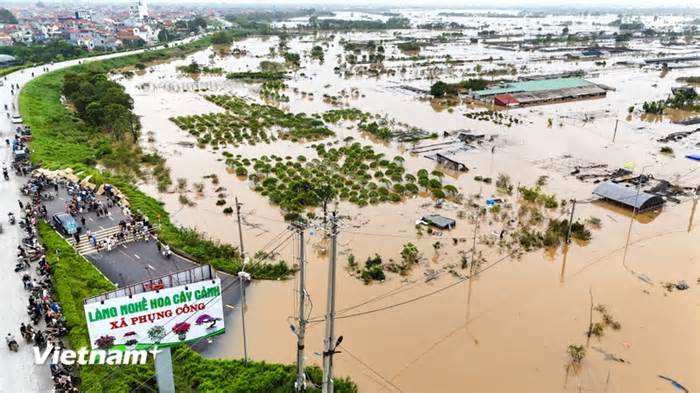 Hưng Yên: Vùng trồng hoa tại 3 xã làng nghề bị nhấn chìm trong nước