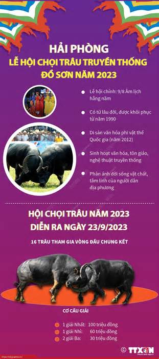 [Infographics] Hấp dẫn Lễ hội chọi trâu truyền thống Đồ Sơn năm 2023
