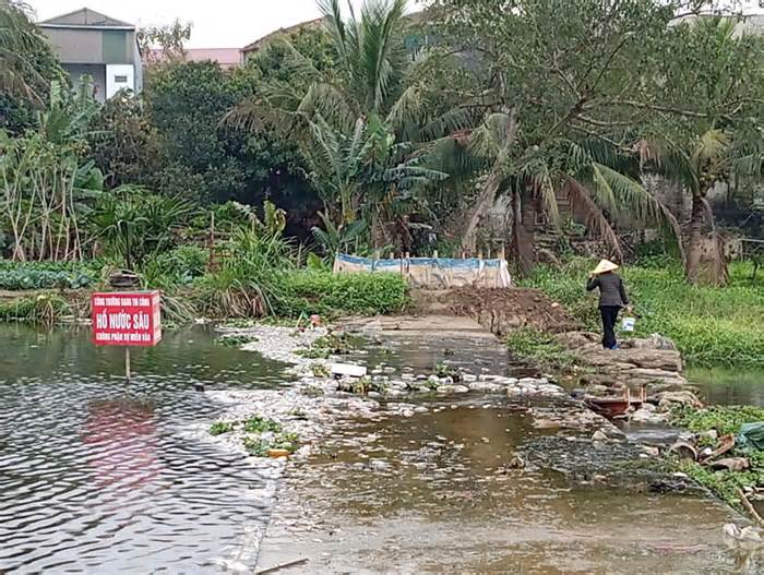 Cá chết hàng loạt trên suối Cổ Đam ở Thanh Hóa