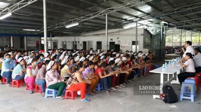 Công đoàn tỉnh Tiền Giang tư vấn pháp luật cho 19.452 người lao động
