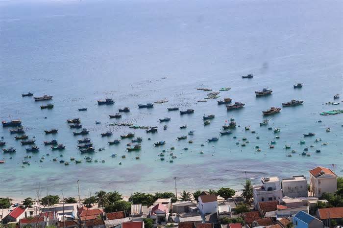 Bình Định: Hỗ trợ tàu du lịch để đưa đón hàng trăm hộ dân trên đảo