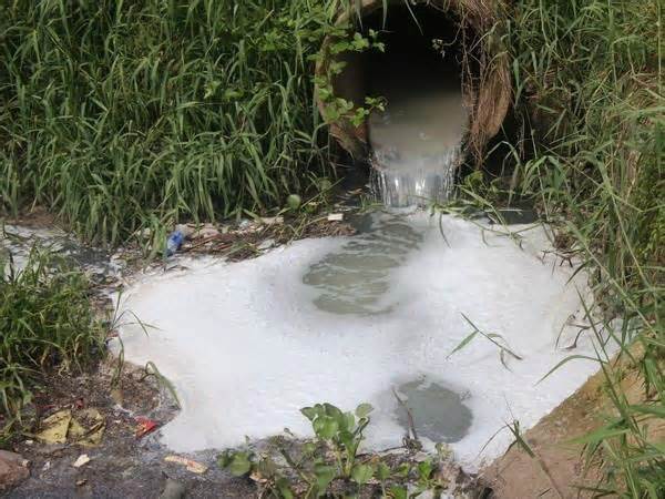 Tây Ninh: Xả thải gây ô nhiễm, một doanh nghiệp bị phạt 830 triệu đồng