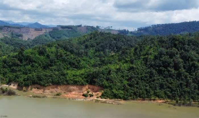 Đắk Lắk thanh tra vụ hơn 7.300ha rừng tự nhiên bị suy giảm