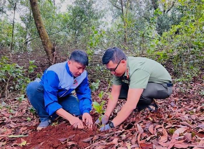 Thanh niên Pleiku và Công an tỉnh Gia Lai trồng hàng ngàn cây xanh