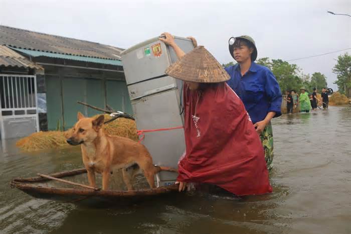 Xác xơ hoa màu 'ốc đảo' Vật Lại