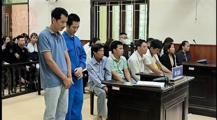 Vụ sập tường 5 người chết ở Bình Định: Hai lãnh đạo doanh nghiệp lĩnh 3 năm tù