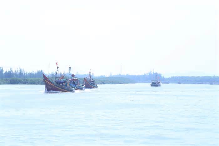 Tàu thuyền đầy ắp 'lộc biển', cảng cá nhộn nhịp mua bán