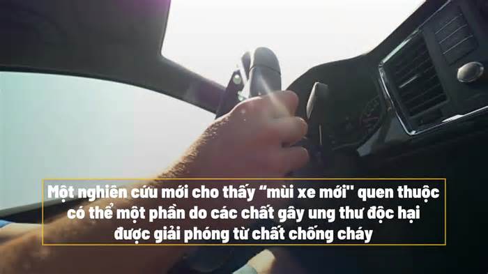 “Mùi xe mới' có thể là hóa chất làm tăng nguy cơ gây ung thư