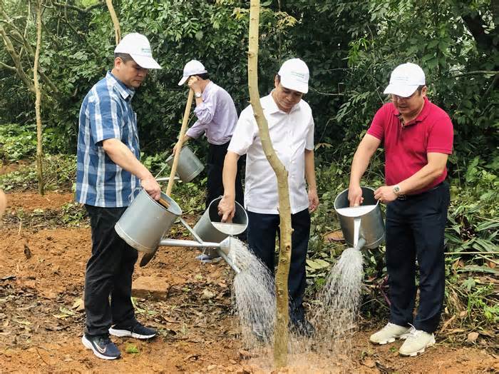 Tập đoàn Hoá chất Việt Nam trồng 100 cây hoàng yến tại Đền Hùng