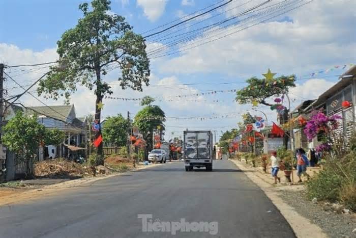 Loạt phương tiện vận tải ở Đắk Nông bị thu hồi phù hiệu