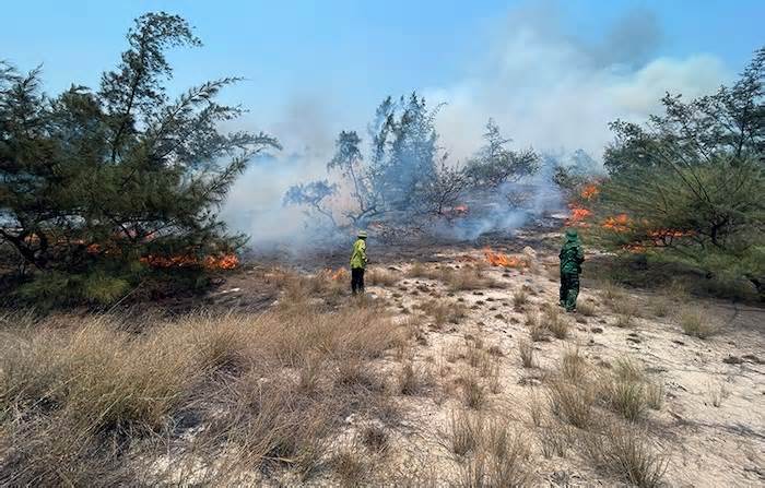 Cháy rừng phòng hộ tại Quảng Bình, hơn 300 người chữa cháy