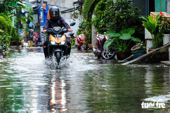 Hẻm ngập nước nửa tháng chưa rút, học sinh lội nước đi học, người lớn mang ủng đi làm