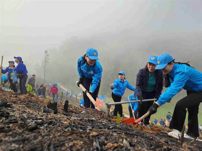 Trồng 2.800 cây xanh sau khi phát động 'Tết trồng cây đời đời nhớ ơn Bác Hồ'