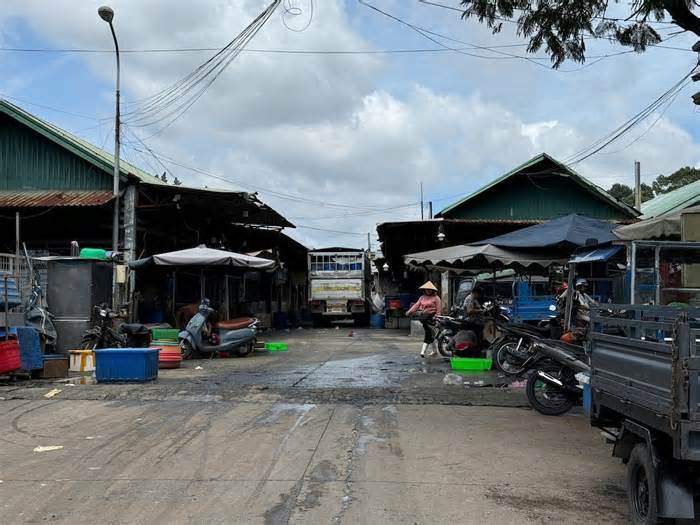 Nổ súng vào quán cà phê, hai vợ chồng nguy kịch