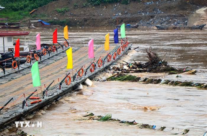 Tạm đóng cầu phao Phong Châu do nước sông Hồng lên cao, chảy siết