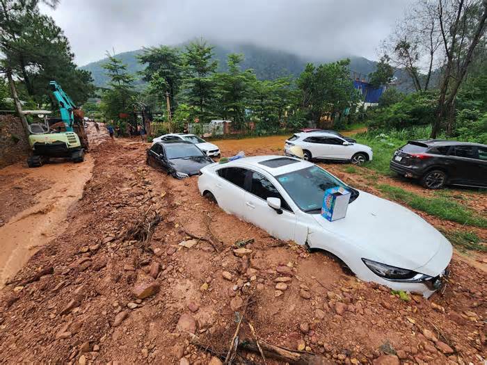 Hà Nội: Thanh tra, xử lý triệt để các trường hợp vi phạm về quản lý sử dụng đất, bảo vệ rừng.