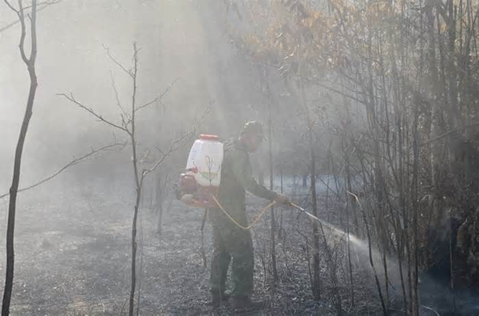 Dập tắt đám cháy rừng tràm ở rìa Vườn quốc gia Phú Quốc