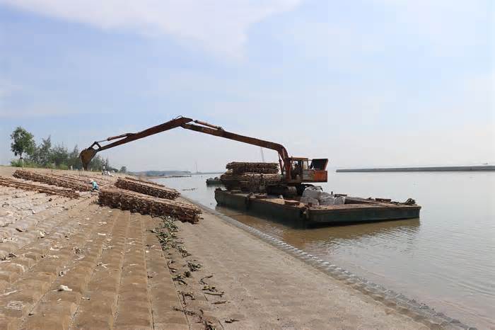 Tiền Giang: Nỗ lực khôi phục rừng phòng hộ, bảo vệ đê biển Gò Công