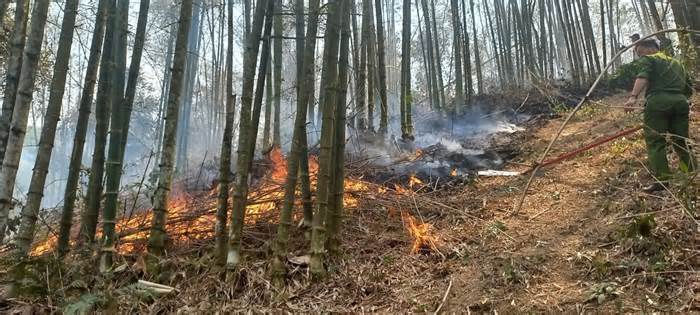 Huy động hàng trăm người dập tắt cháy rừng ở Hòa Bình