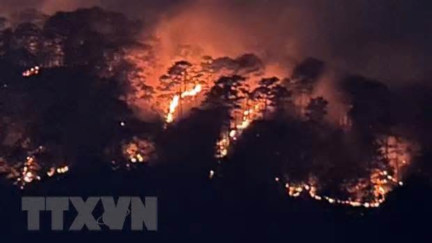 Lâm Đồng khen thưởng tập thể, cá nhân khống chế đám cháy hơn 10ha rừng