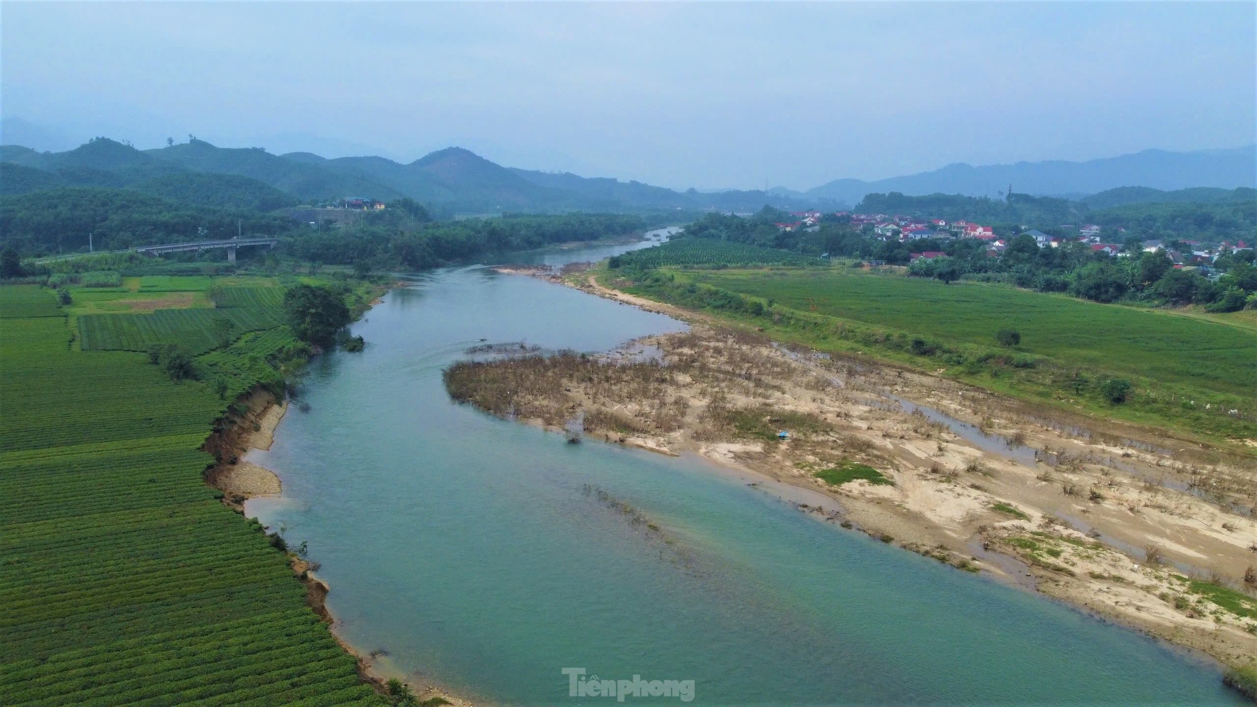 Bờ sông sạt lở, nhiều diện tích trồng chè bị cuốn trôi