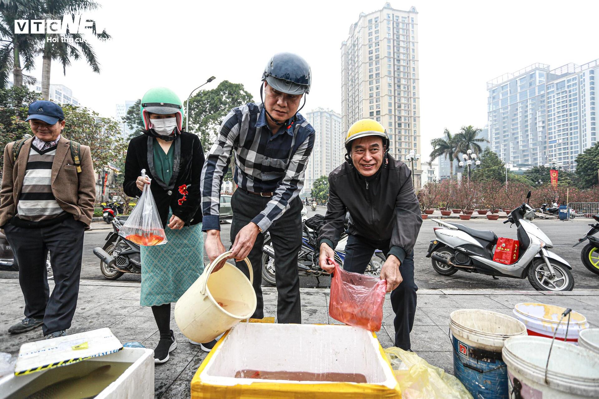 Cá chép 'đu dây' xuống sông Hồng tiễn ông Công ông Táo về trời