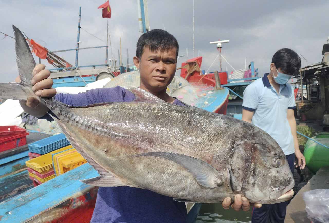 Ngư dân Quảng Ngãi bội thu phiên biển cuối năm