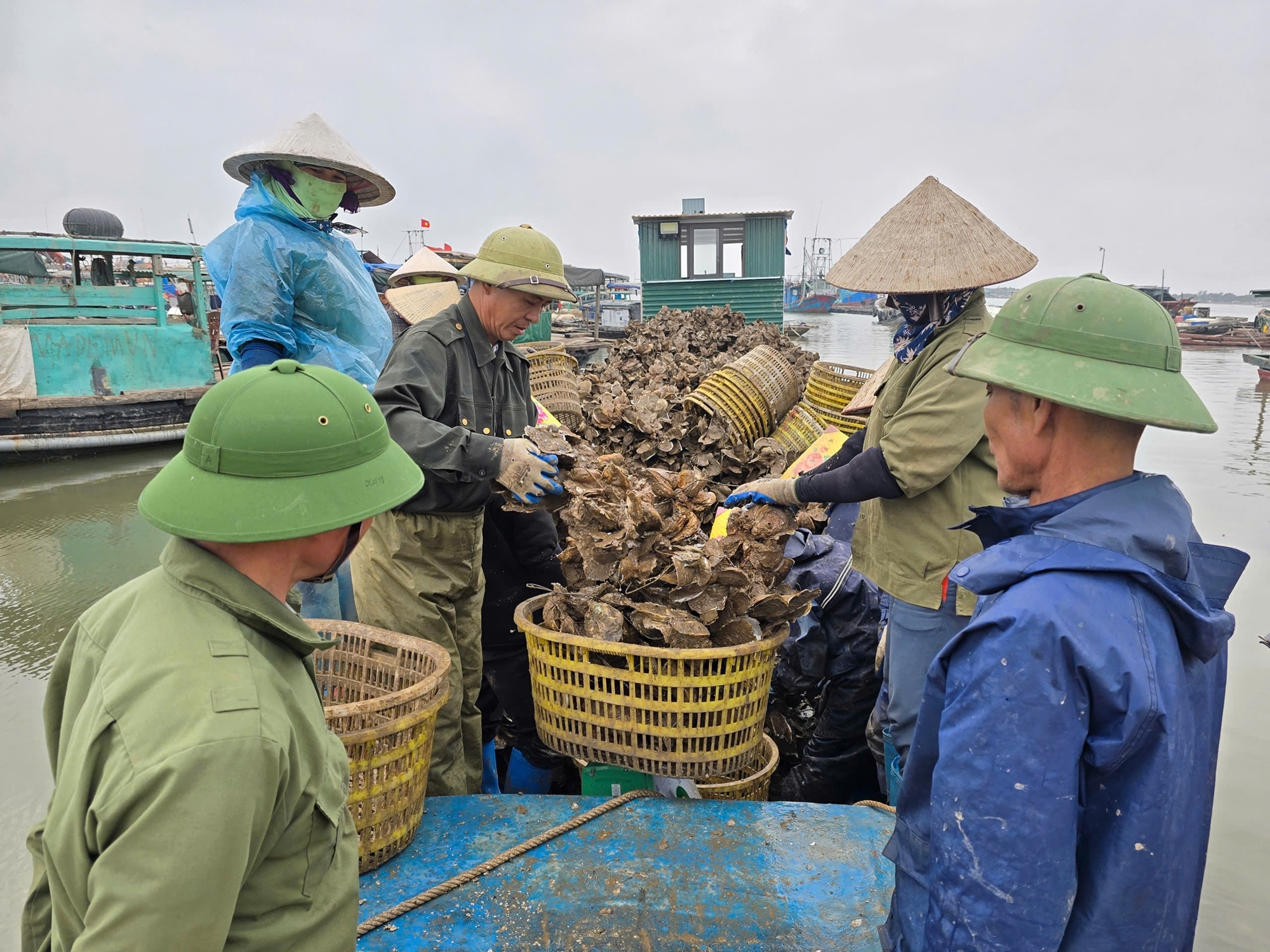 Bị phạt vì tung tin 'xã hội đen cướp hàu'