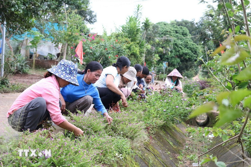 Kon Tum: Xây dựng Đảng vững mạnh, bám sát cơ sở vùng dân tộc thiểu số