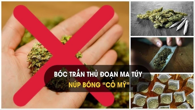 2 học sinh ở Thanh Hóa bị khởi tố vì mua bán, sử dụng 'cỏ Mỹ'