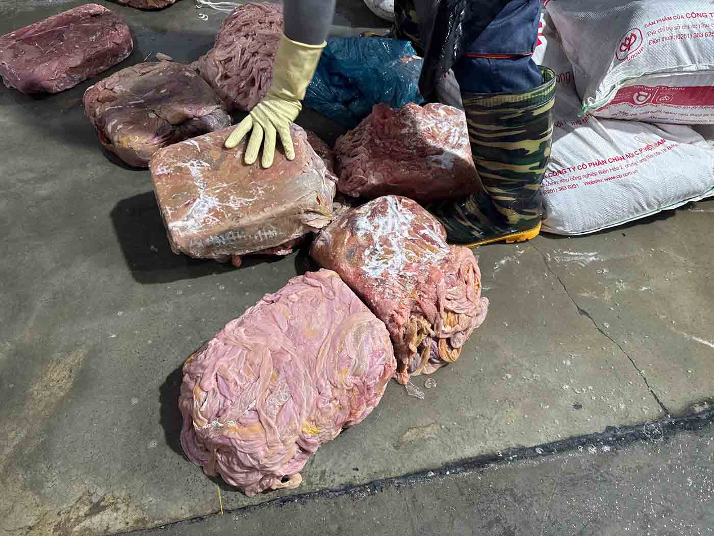 59 tấn lòng lợn không rõ nguồn gốc trong 3 container, cấp đông từ 4-6 tháng