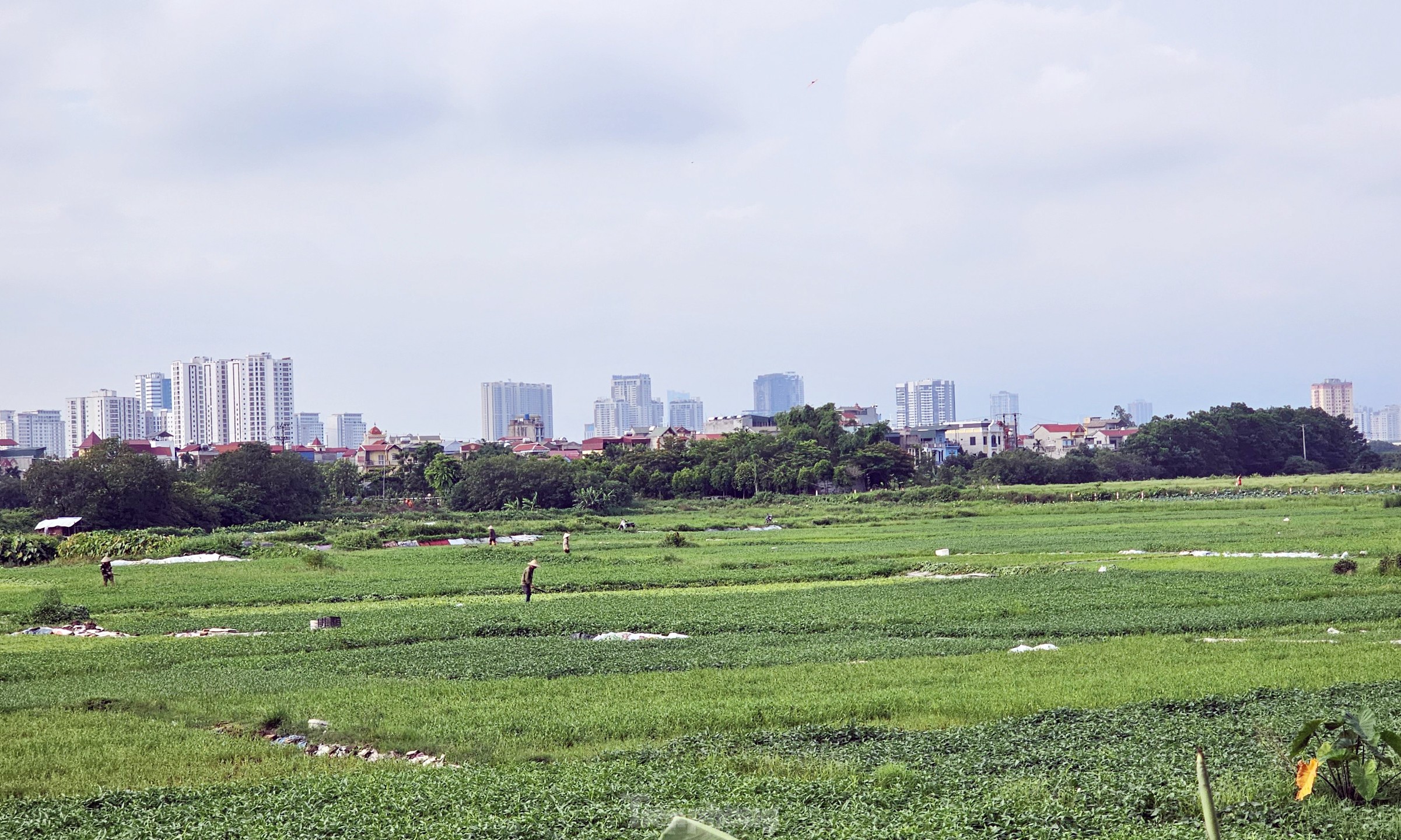Siêu dự án khu nhà ở sinh thái Đồng Mai 'ôm' đất gần 20 năm không triển khai