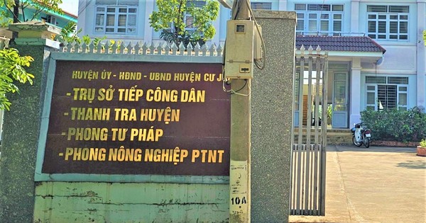 Trộm hoa giấy, Trưởng phòng Tư pháp ở Đắk Nông bị cách chức