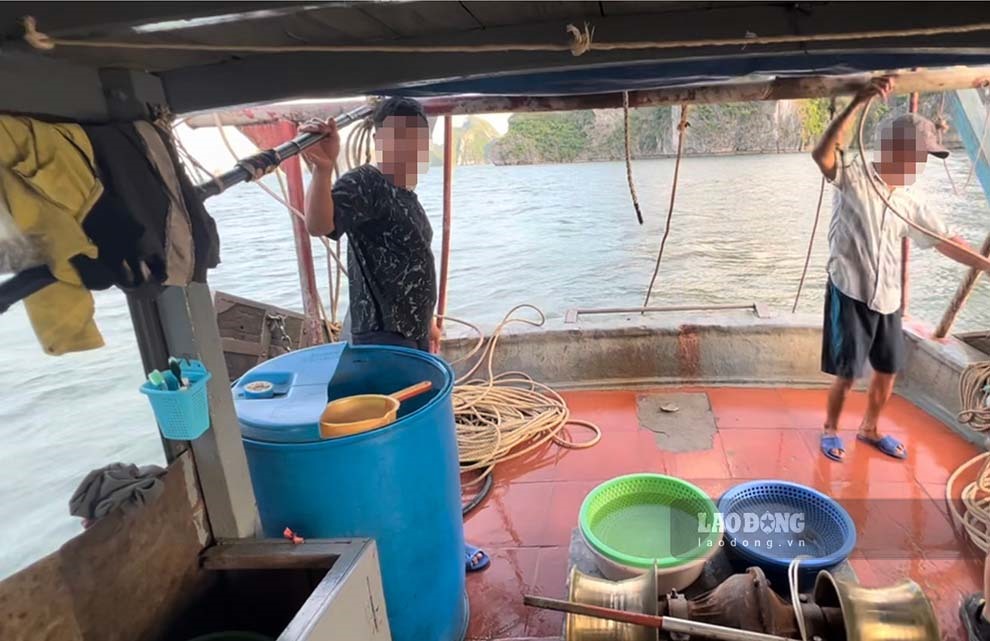 Khởi tố đối tượng hủy hoại nguồn lợi thủy sản tại Hạ Long