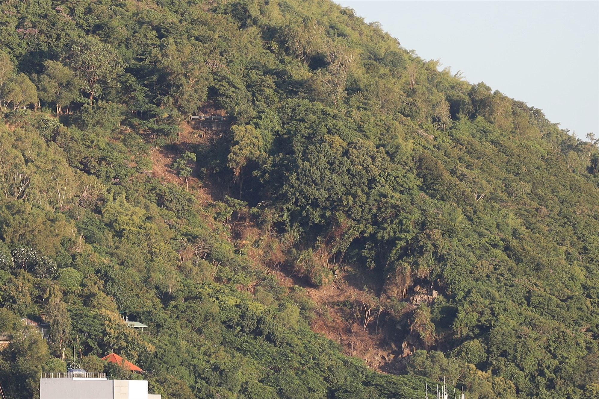 Làm rõ việc cấp sổ đỏ tại khu vực cây bị chặt hạ trên núi Nhỏ ở TP Vũng Tàu