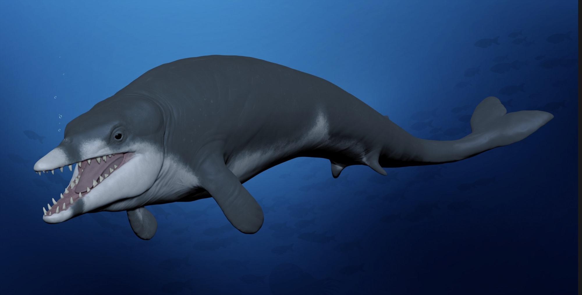 Ai Cập khai quật được xác cá voi 41 triệu năm trong sa mạc