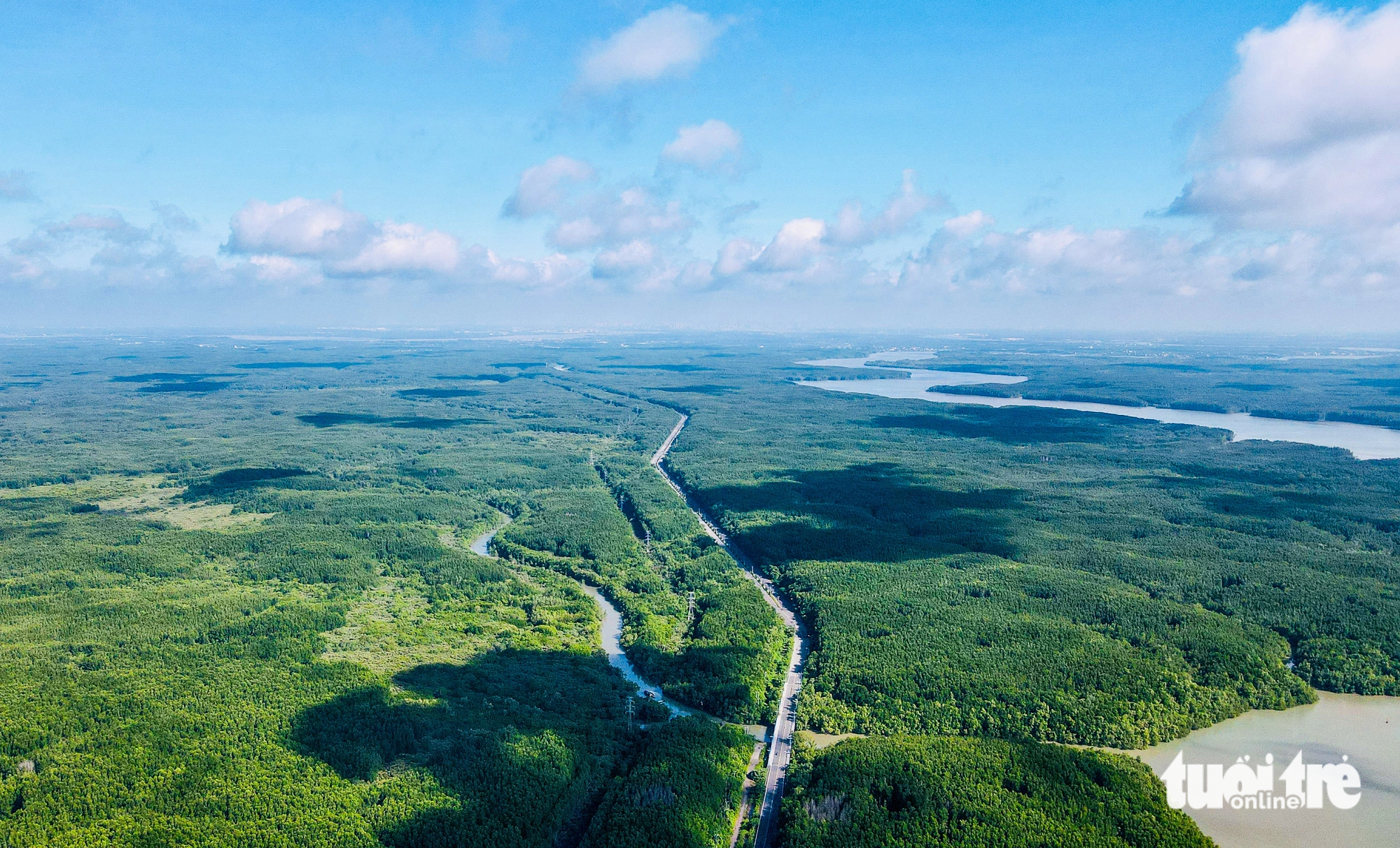 Ngắm rừng phòng hộ Cần Giờ được đề cử thành khu Ramsar thế giới