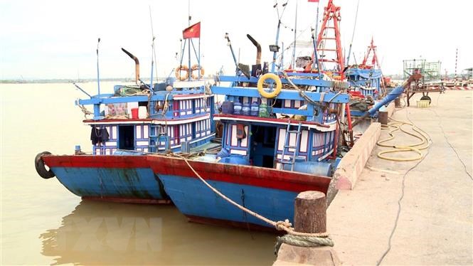 Các tỉnh từ Quảng Ninh đến Hà Tĩnh chủ động ứng phó với bão Saola