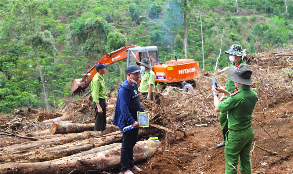 Lâm Đồng phát hiện 21 vụ vi phạm về quản lý bảo vệ rừng trong tháng 8