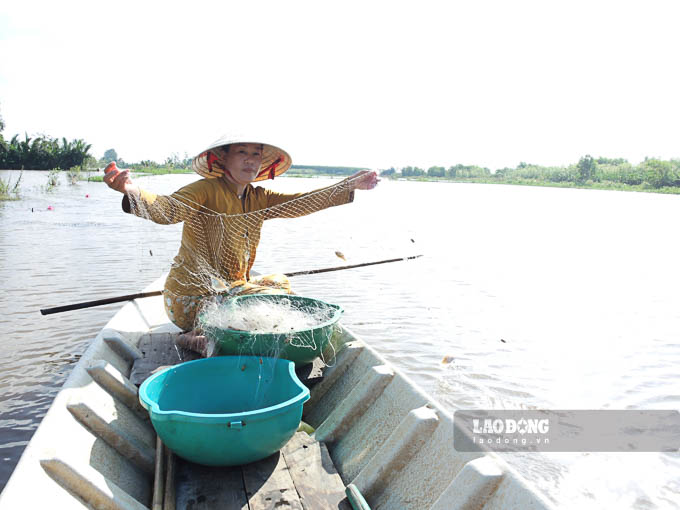 Theo chân nông dân mưu sinh trên đồng nước nổi